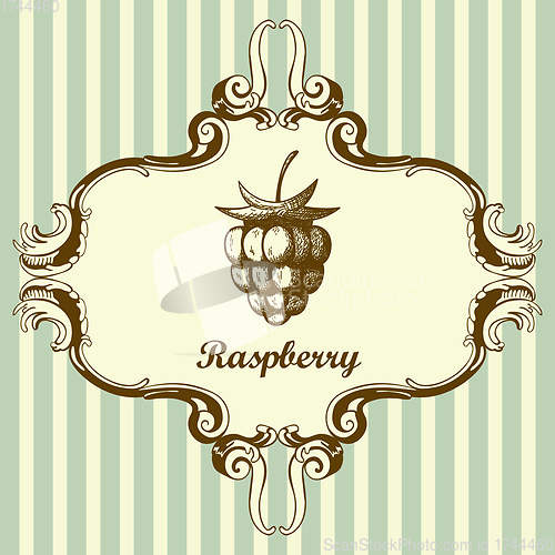 Image of Icon Of Raspberry