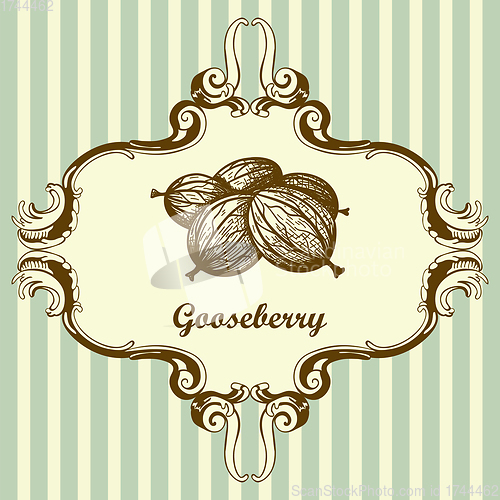 Image of Icon Of Gooseberry