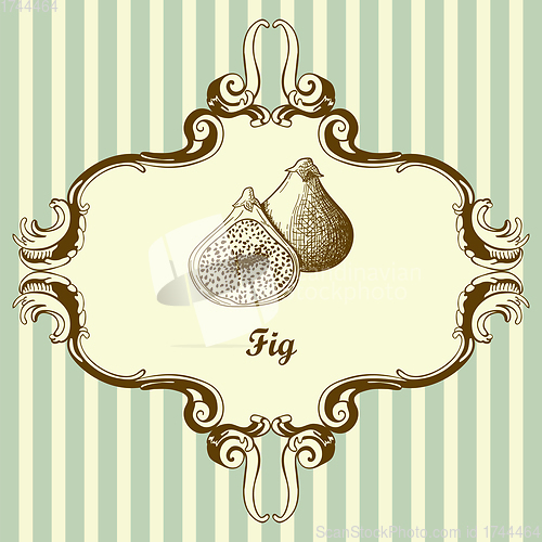 Image of Icon Of Fig Fruit