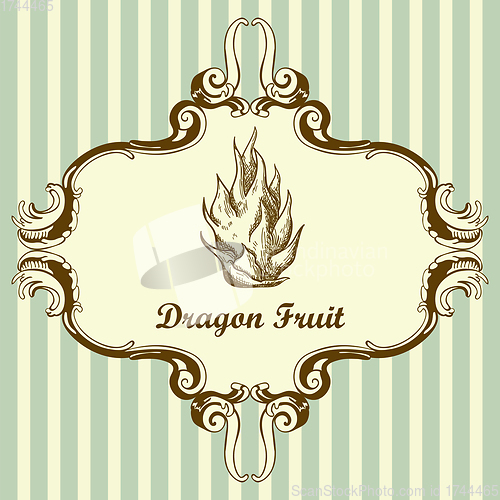 Image of Icon Of Dragon Fruit