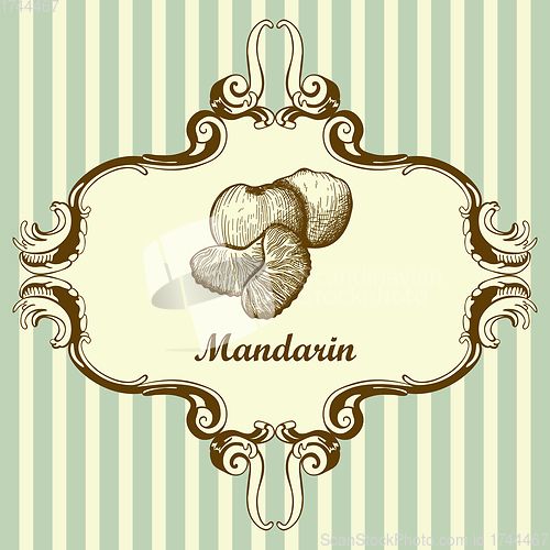 Image of Icon Of Mandarin