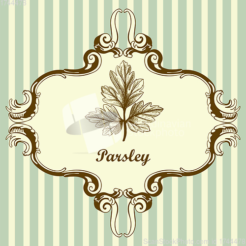 Image of Parsley Icon