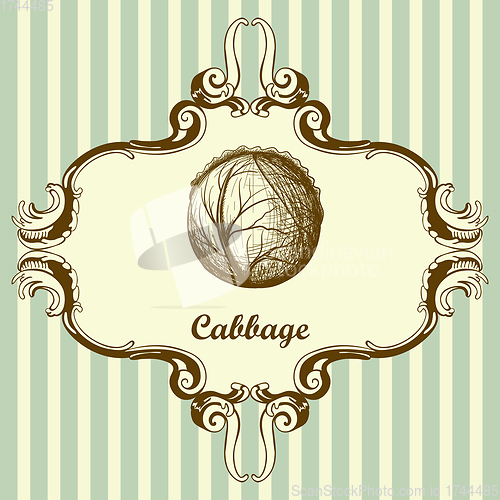 Image of Cabbage Icon