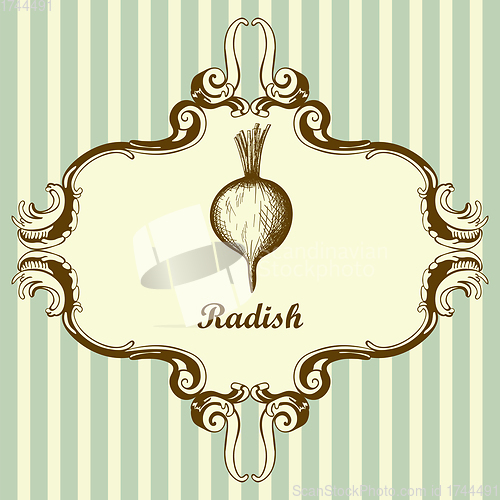 Image of Radishes Icon
