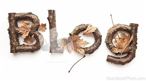 Image of The word Blog created in Maple Twig Letters.