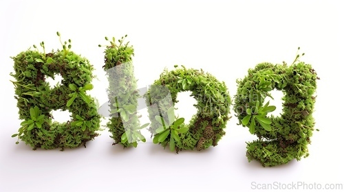 Image of Moss Blog concept creative art poster.