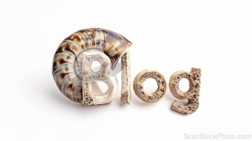 Image of The word Blog created in Nautilus Shell Letters.