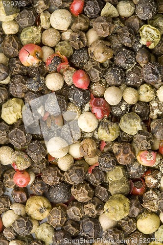 Image of Pepper of Four Colours