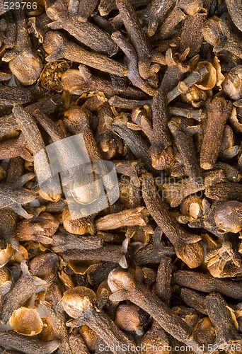 Image of Clove