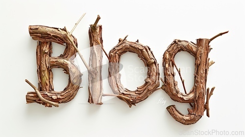 Image of The word Blog created in Oak Twig Letters.