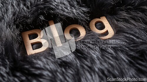 Image of Black Fur Blog concept creative art poster.