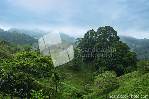 Image of Landscape of Sierra Nevada mountains, Colombia wilderness landscape.