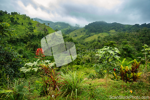 Image of Landscape of Sierra Nevada mountains, Colombia wilderness landscape.