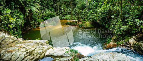 Image of Small natural pond in jungle. Sierra Nevada mountains, Colombia wilderness landscape.