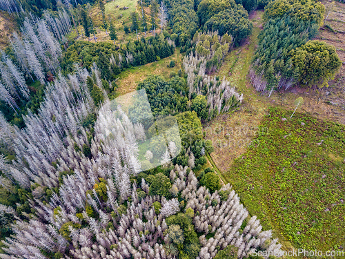 Image of Aerial view of autumn countryside, traditional fall landscape in central Europe