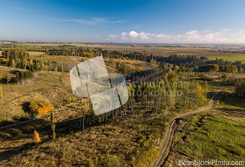 Image of Top bird eye view of country road and yellow rapeseed field. Aerial view landscape. Czech Republic