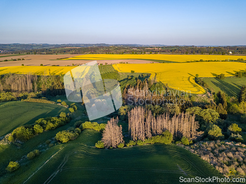 Image of Drone flies over countryside with green field.