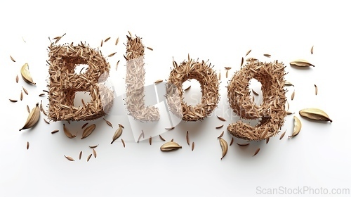 Image of The word Blog created in Cardamom Typography.