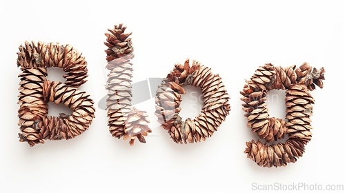 Image of The word Blog created in Cedar Pinecone Letters.