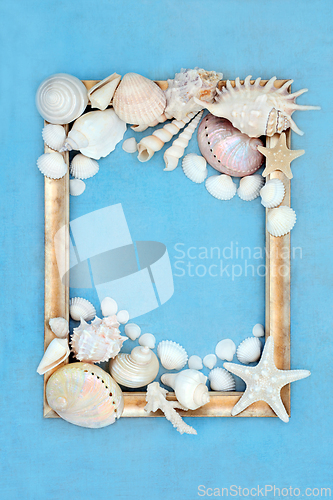 Image of Seashell Abstract Picture Frame Art 