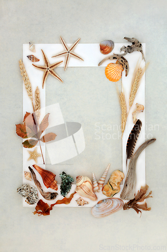 Image of Natural Nature Objects Background Border