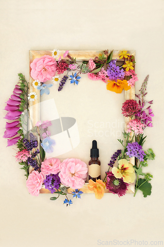 Image of Flowers and Herbs for Aromatherapy and Natural Herbal Medicine