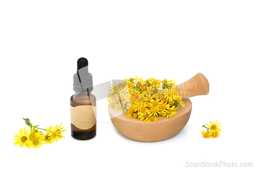 Image of Ragwort Flower Essence for Alternative Herbal Medicine