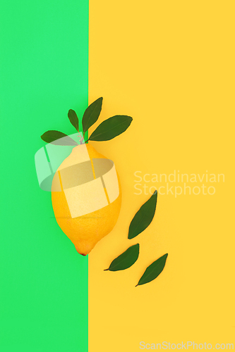 Image of Lemon Fruit Healthy Food for Immune System Support