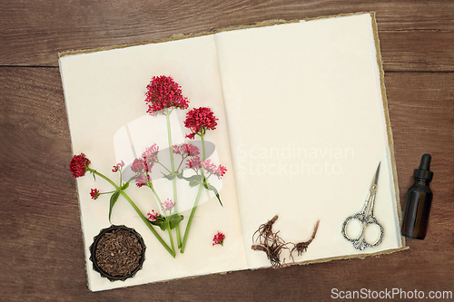 Image of Red Valerian Herb Root for Natural Herbal Medicine
