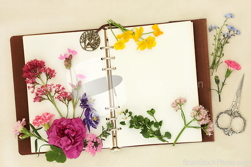 Image of British Flowers Herbs and Wildflowers for Natural Flower Remedie