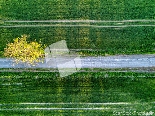 Image of Beautiful landscape with lines and patterns of agricultural fields.
