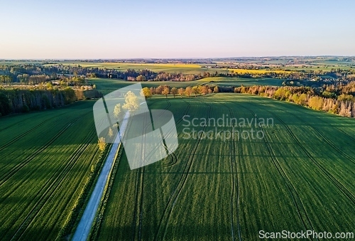 Image of Drone flies over countryside with green field.