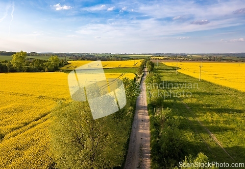 Image of Top bird eye view of country road and yellow rapeseed field. Aerial view landscape. Czech Republic