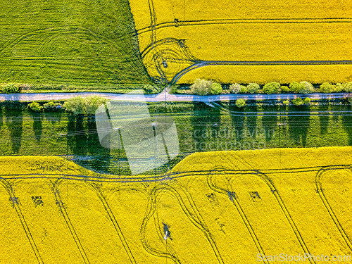 Image of Top bird eye view of country road and yellow rapeseed field. Aerial view landscape. Czech Republic