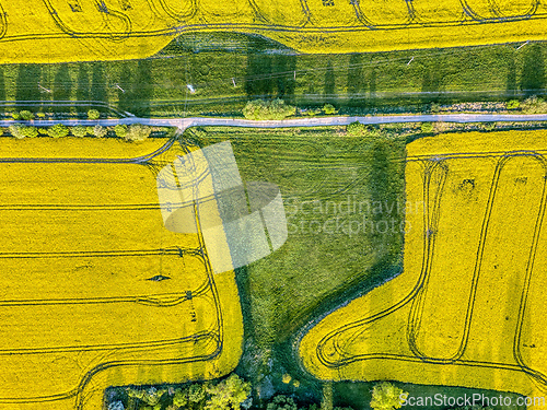 Image of Top bird eye view of country road and yellow rapeseed field. Aerial view landscape. Czech Republic