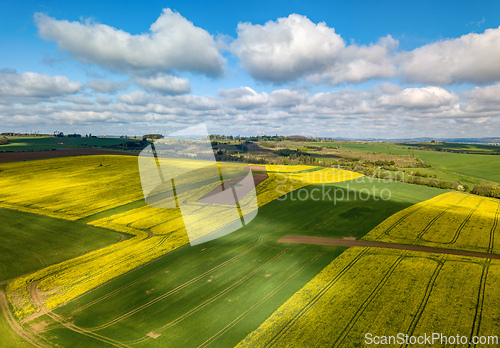 Image of Top bird eye view of country road and yellow rapeseed field. Aerial view landscape. Czech Republic