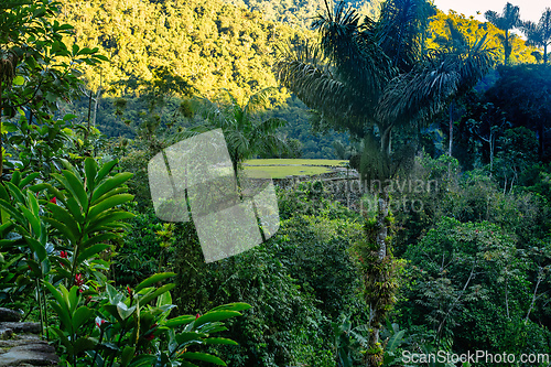 Image of Ciudad Perdida, ancient ruins in Sierra Nevada mountains. Santa Marta, Colombia wilderness