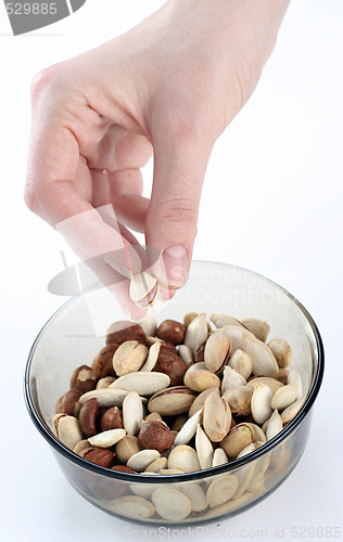 Image of Nuts