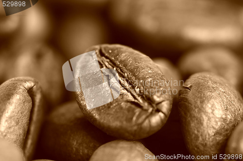 Image of Fragrant fried coffee beans 