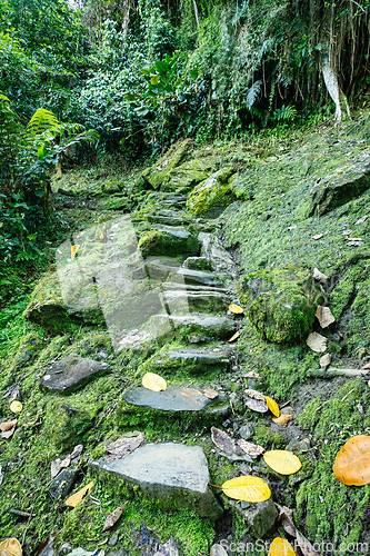 Image of Ciudad Perdida, ancient ruins in Sierra Nevada mountains. Santa Marta, Colombia wilderness