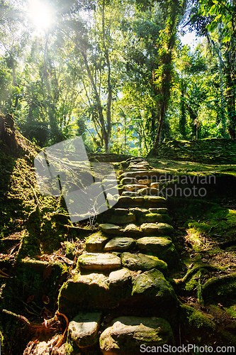 Image of Ciudad Perdida, ancient ruins in Sierra Nevada mountains. Santa Marta, Colombia wilderness