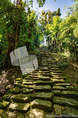 Image of Ciudad Perdida, ancient ruins in Sierra Nevada mountains. Santa Marta, Colombia wilderness