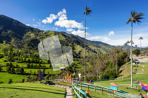 Image of Entertainment center in Valle del Cocora Valley with tall wax palm trees. Salento, Quindio department. Colombia