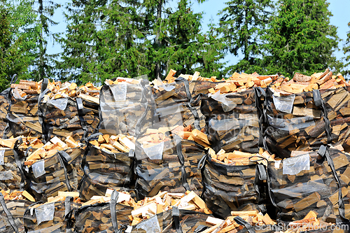 Image of Bags of Firewood at Edge of Forest 