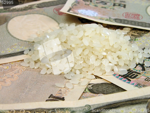 Image of Rice and money