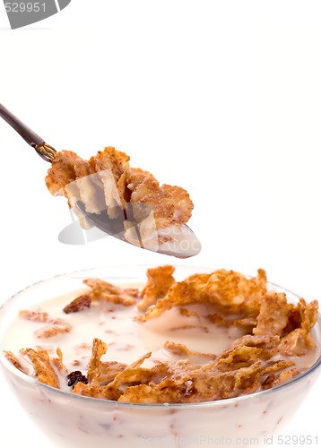 Image of cornflakes with milk in a bowl