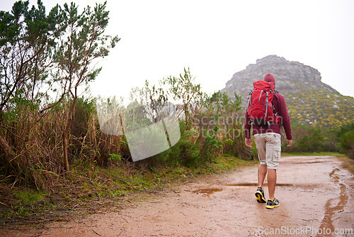 Image of Hiking, nature and man back with backpack, workout and adventure outdoor on mountains and path with plants. Journey, fitness and walking with camping gear and bag for exercise and explorer with trail
