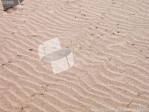 Image of Sand beach texture