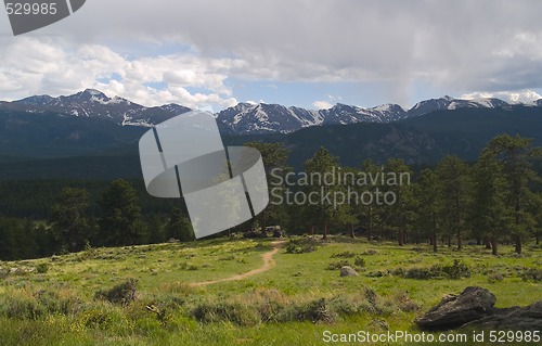 Image of Path Into Mountain Rain