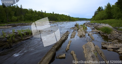 Image of Looking Upstream